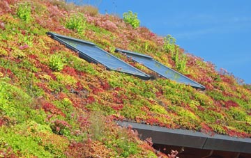 Pempwell living roof systems